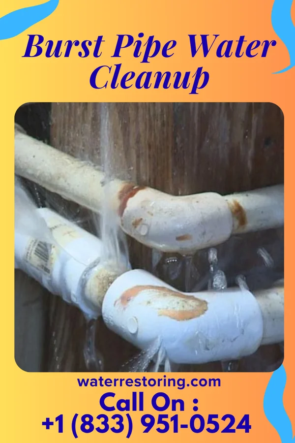 Burst Pipe Water Cleanup in Tolani Lake, AZ
